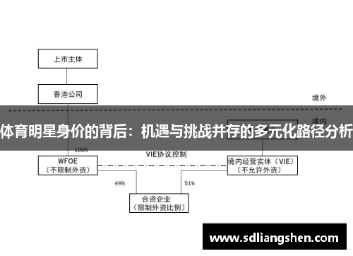 体育明星身价的背后：机遇与挑战并存的多元化路径分析