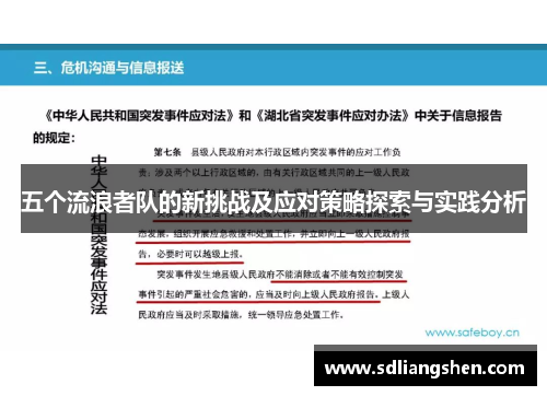 五个流浪者队的新挑战及应对策略探索与实践分析
