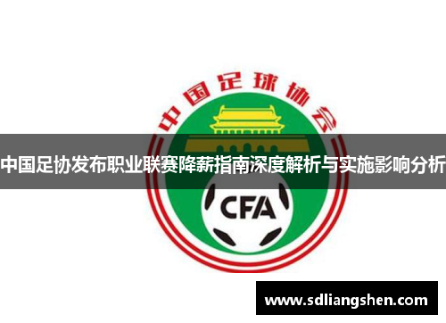 中国足协发布职业联赛降薪指南深度解析与实施影响分析