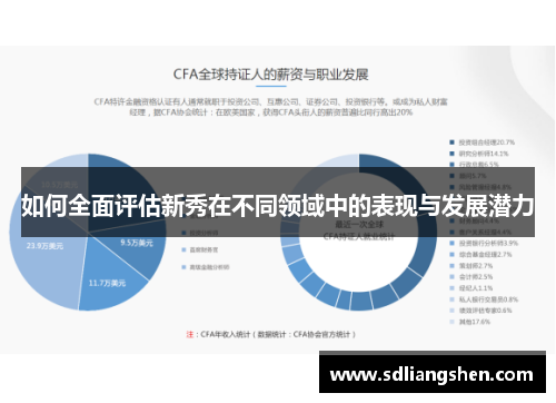 如何全面评估新秀在不同领域中的表现与发展潜力 如何全面评估新秀在不同领域中的表现与发展潜力