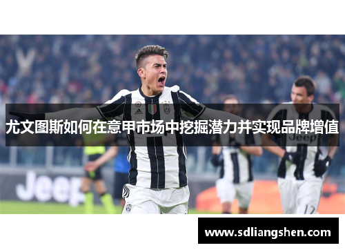 尤文图斯如何在意甲市场中挖掘潜力并实现品牌增值 尤文图斯如何在意甲市场中挖掘潜力并实现品牌增值
