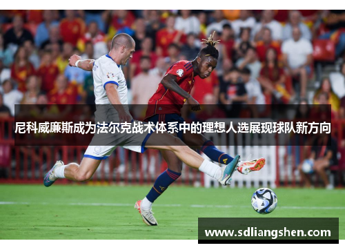 尼科威廉斯成为法尔克战术体系中的理想人选展现球队新方向